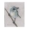 Stupell Industries Wildlife Perched Bird Painting Canvas Design By Stephanie Workman Marrott